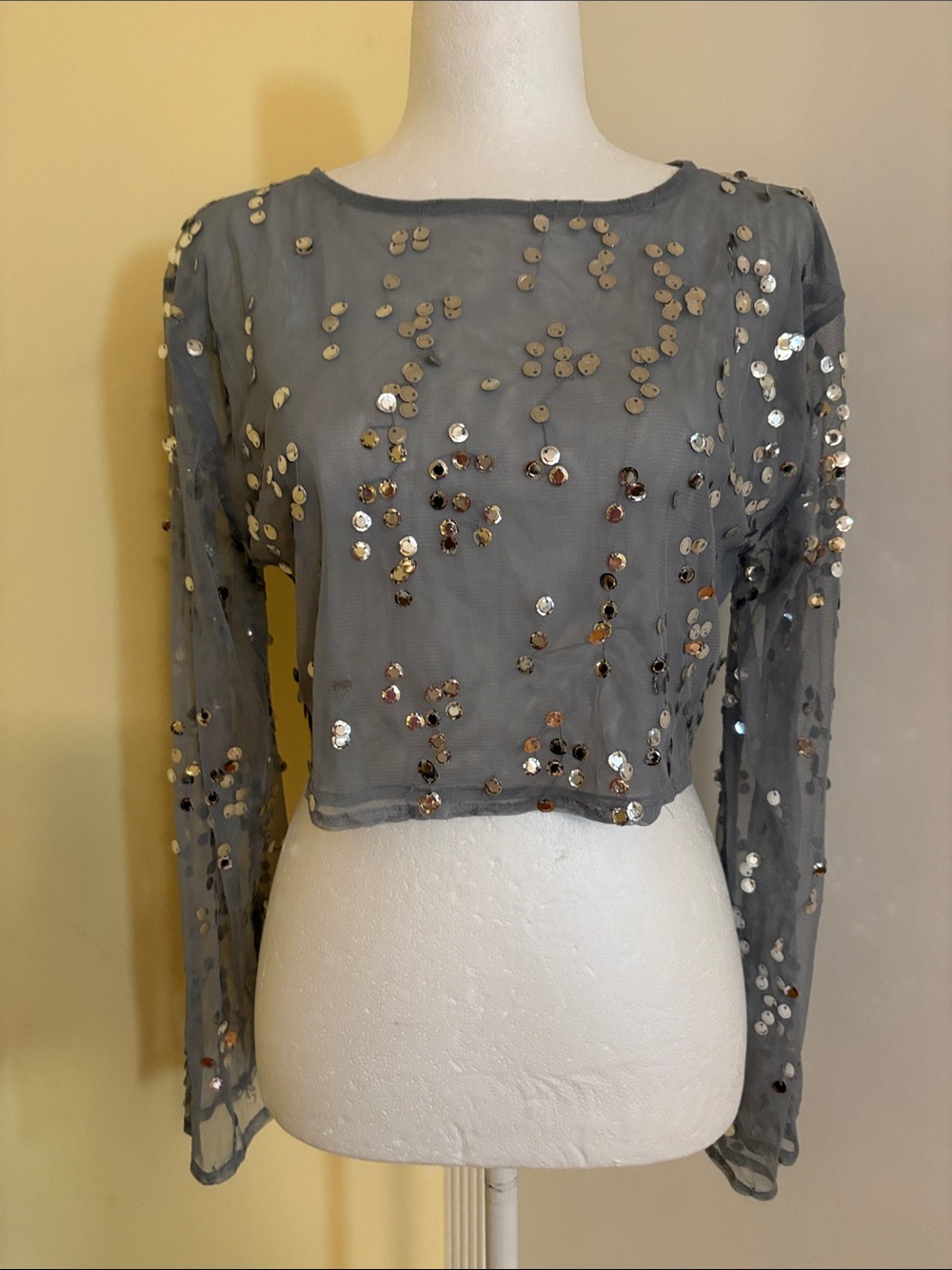 Zara Gray Sequin Sheer Long-Sleeve Crop Top
